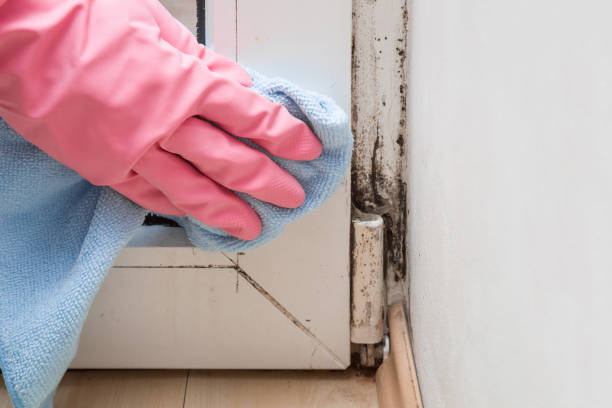 Best Asbestos and Lead Testing During Mold Inspection  in Ballston Spa, NY